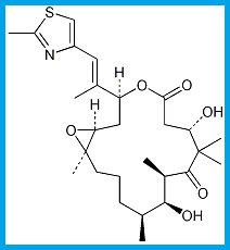 EPOTHILONE B / PATUPILONE